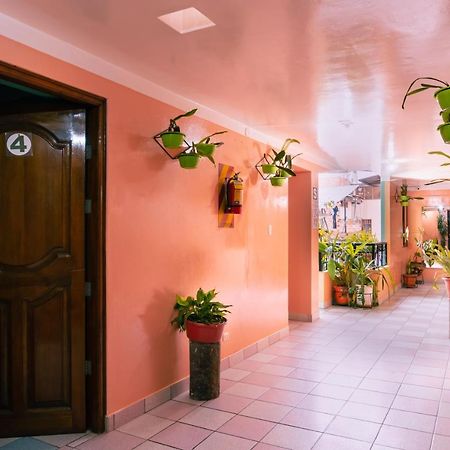 Alpa Kasa Chachapoyas Hotel Exterior photo